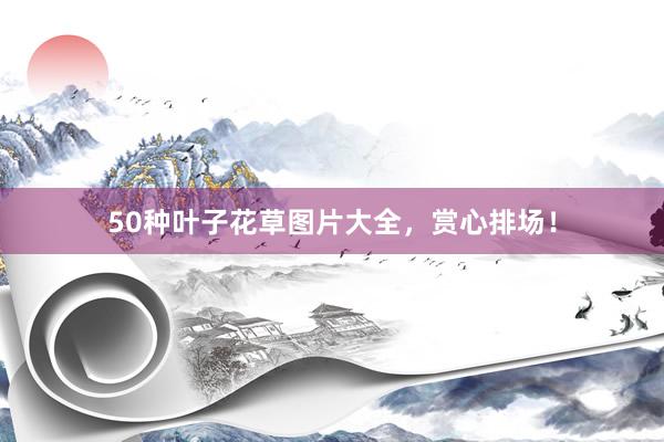 50种叶子花草图片大全，赏心排场！